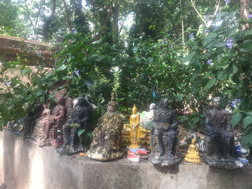 치앙마이 반캉왓 왓우몽 사원 야외 박물관