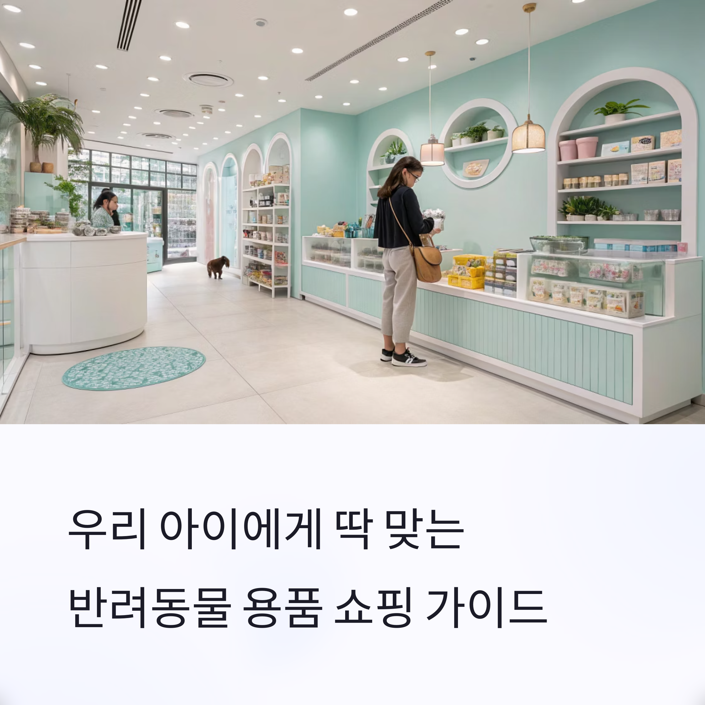 반려동물 용품, 온오프라인 쇼핑 가이드