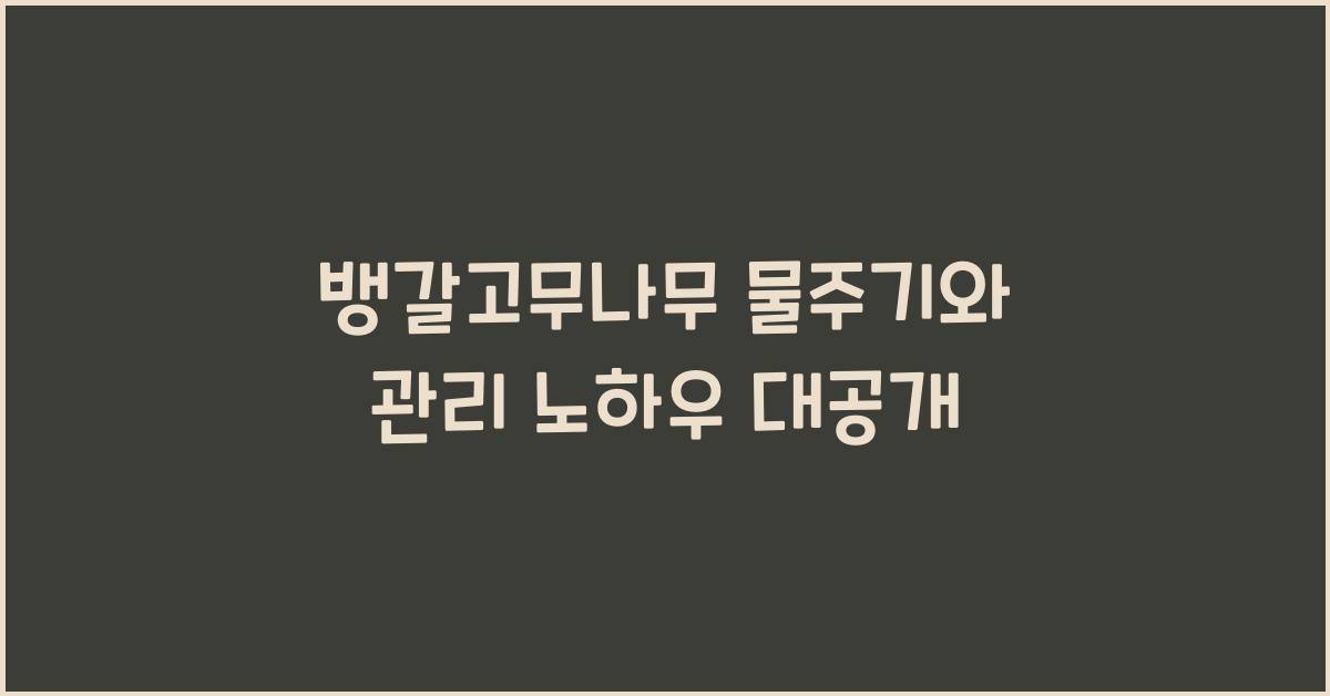 뱅갈고무나무 물주기