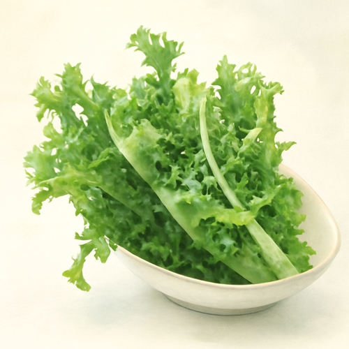 치커리_효능_7가지