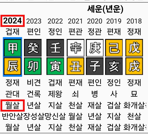 2024년 세운 12신살이 월살인 사주