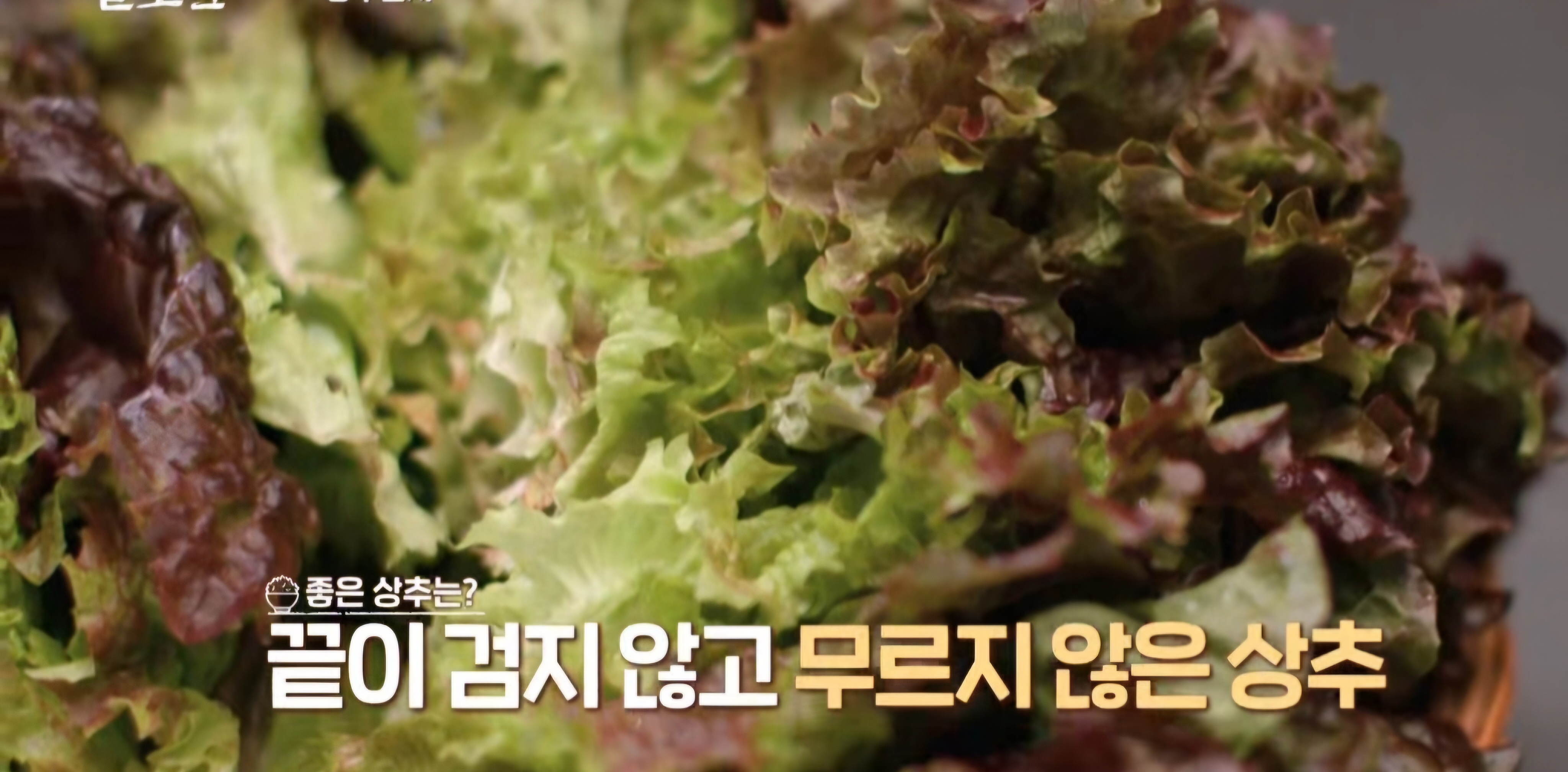 겉절이 빨리 만들기