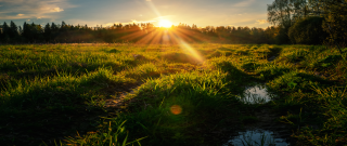 청년도약계좌 은행별 금리