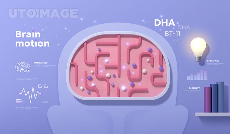기억력 개선과 신경가소성 : 뇌 훈련으로 가능성을 확장하다