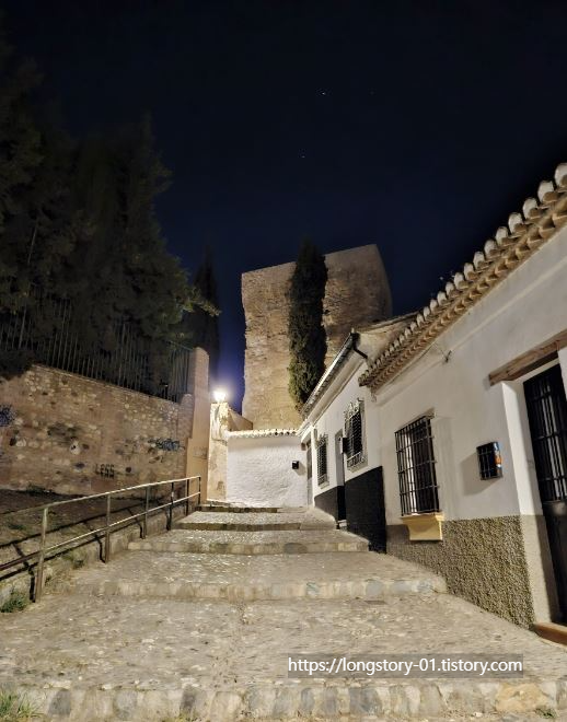 그라나다 플라멩고 후기