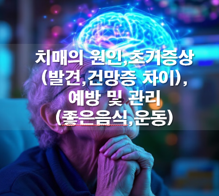 치매의 원인, 초기증상(발견,건망증), 예방 및 관리(좋은음식,운동)