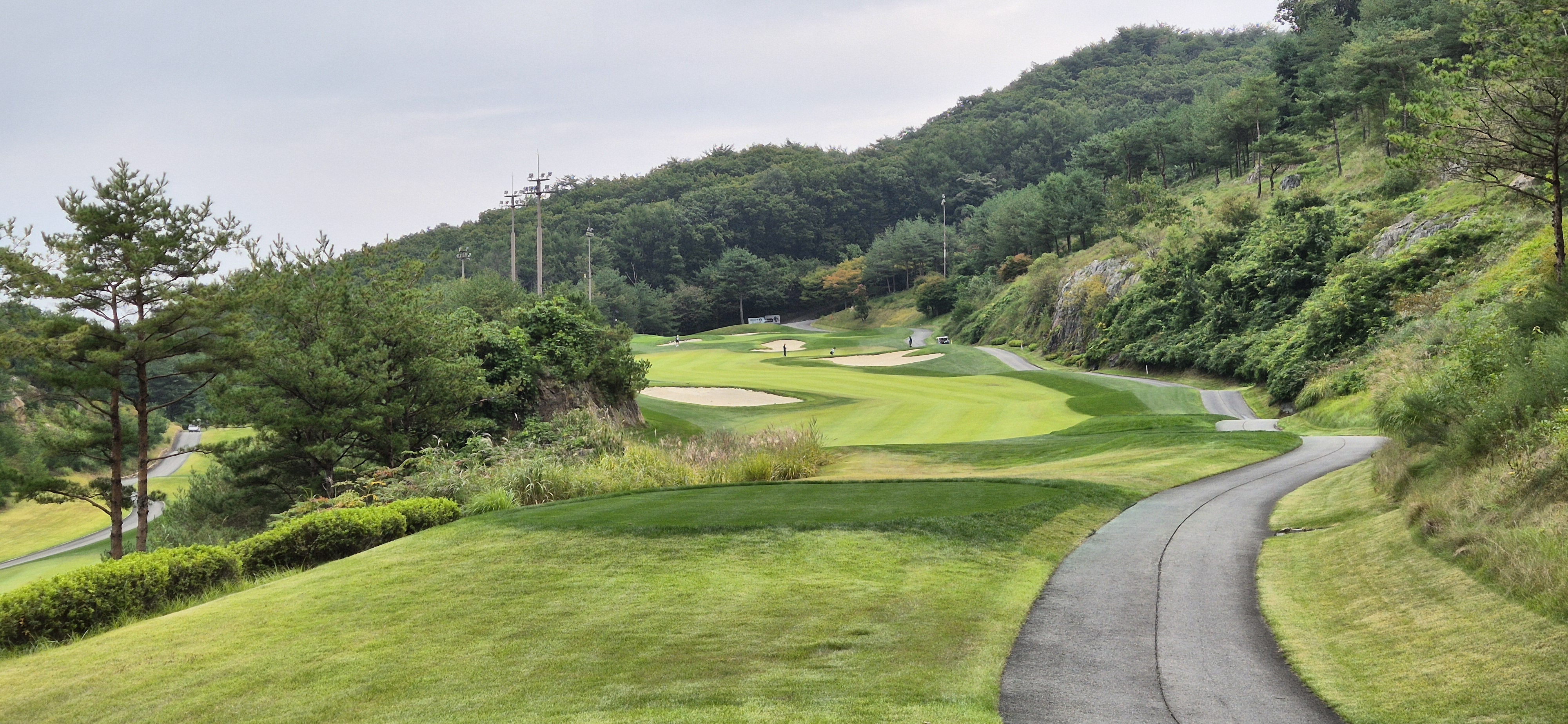 소노펠리체cc이스트