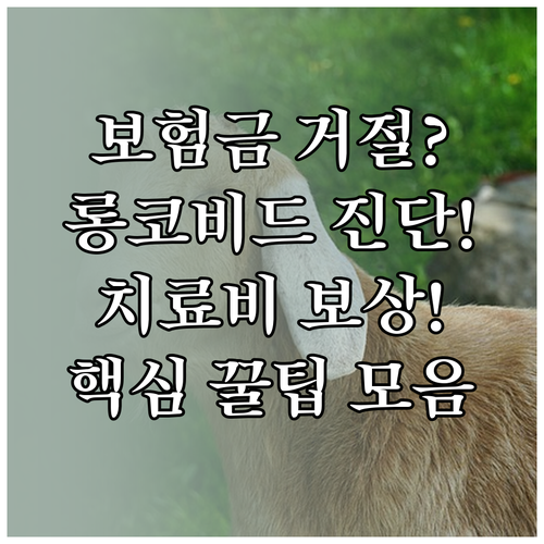 롱코비드 보험 진단비 지급 불가 이유..