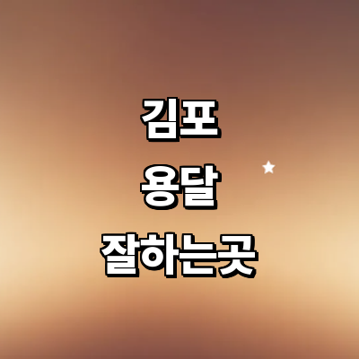 김포시 용달