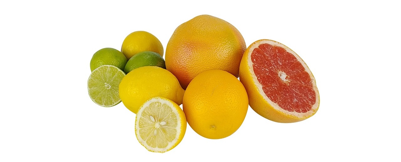 레몬-오렌지-자몽-라임