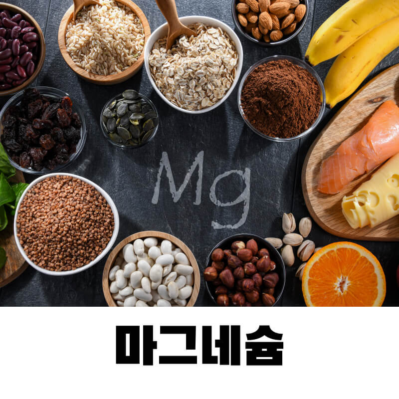 마그네슘