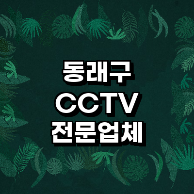 부산 동래구 cctv