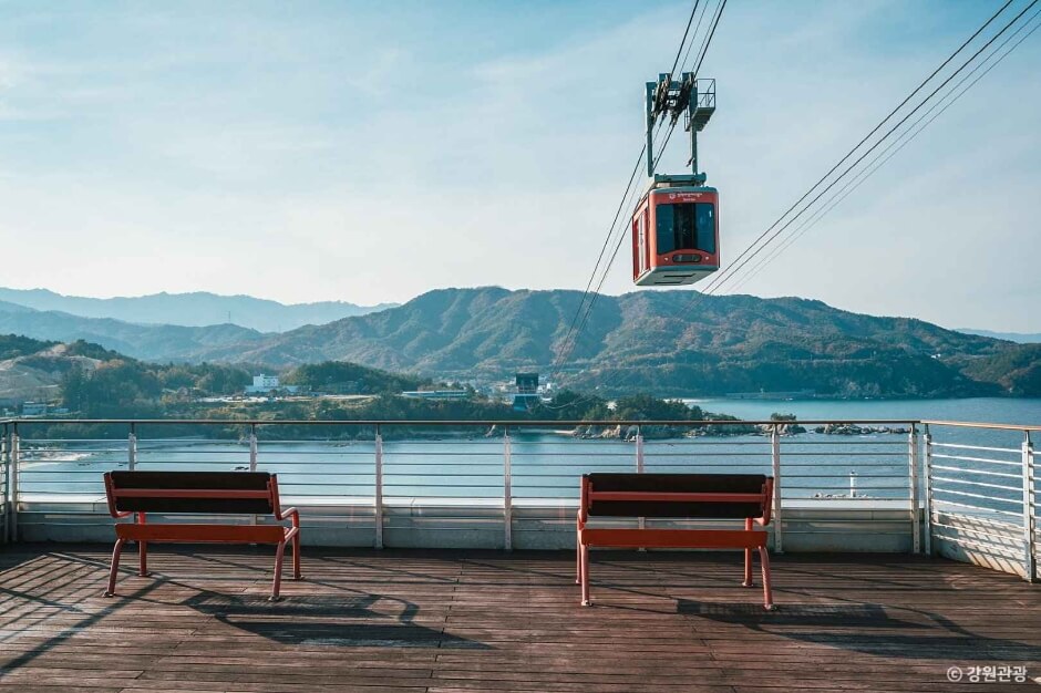 삼척 가볼만한곳 베스트 10