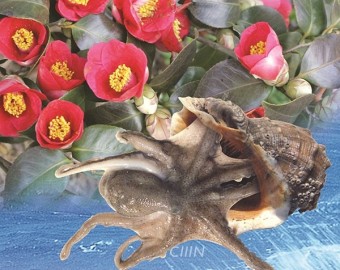 서천주꾸미축제