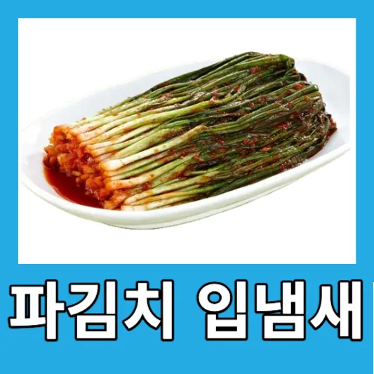 파김치 맛있게 담그는법 파김치 칼로리 파김치 효능 파김치 입냄새 제거