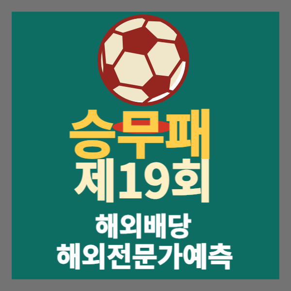 승무패 19회차