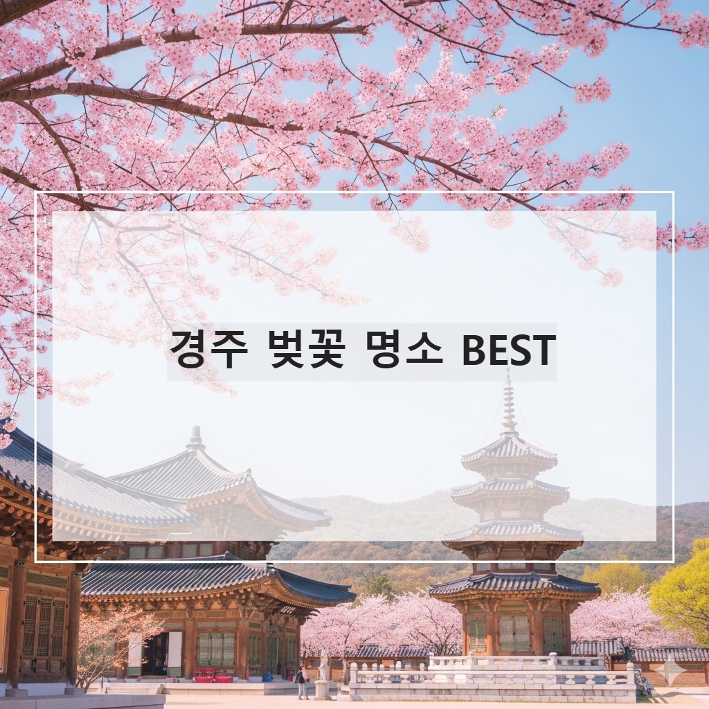 경주 벚꽃