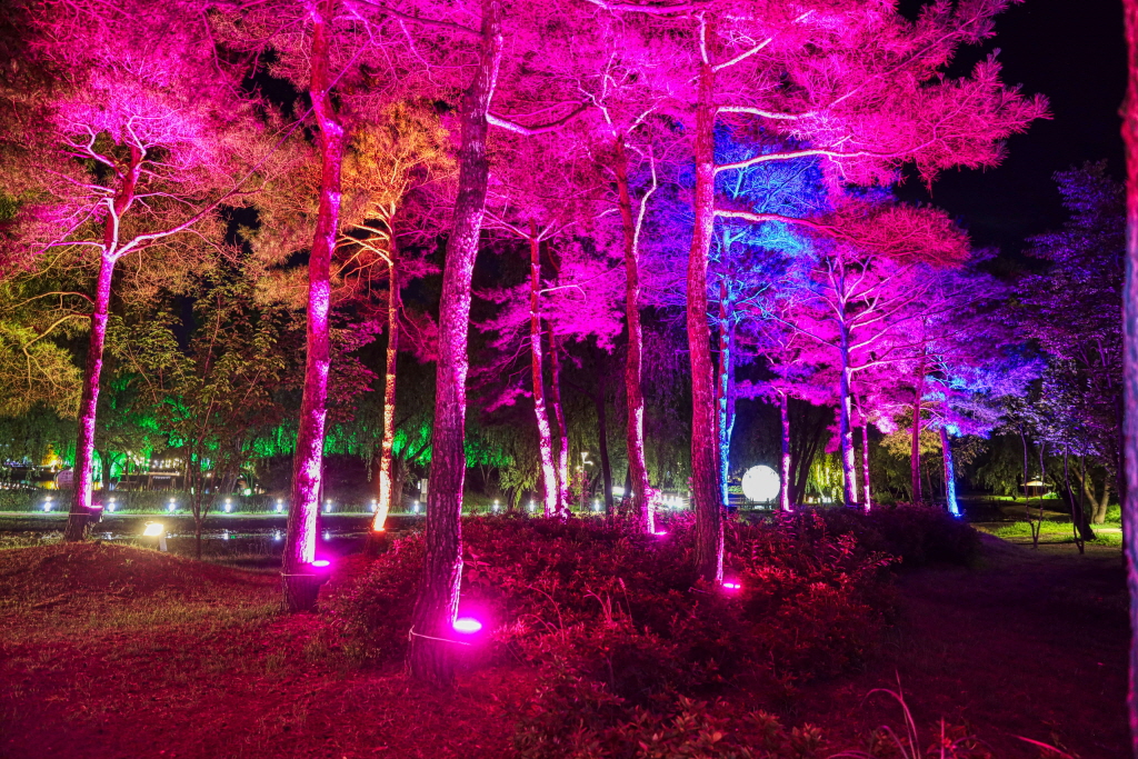 제22회 부여서동연꽃축제 KBS 찾아가는음악회 기본일정과 음악회 들 소개 진성 박상철 강혜연 박서진 김의영 이라희 여행스케치 별사랑 민수현 윤수현 이영현(빅마마) 박지현 벤 비오 candy shop 출연