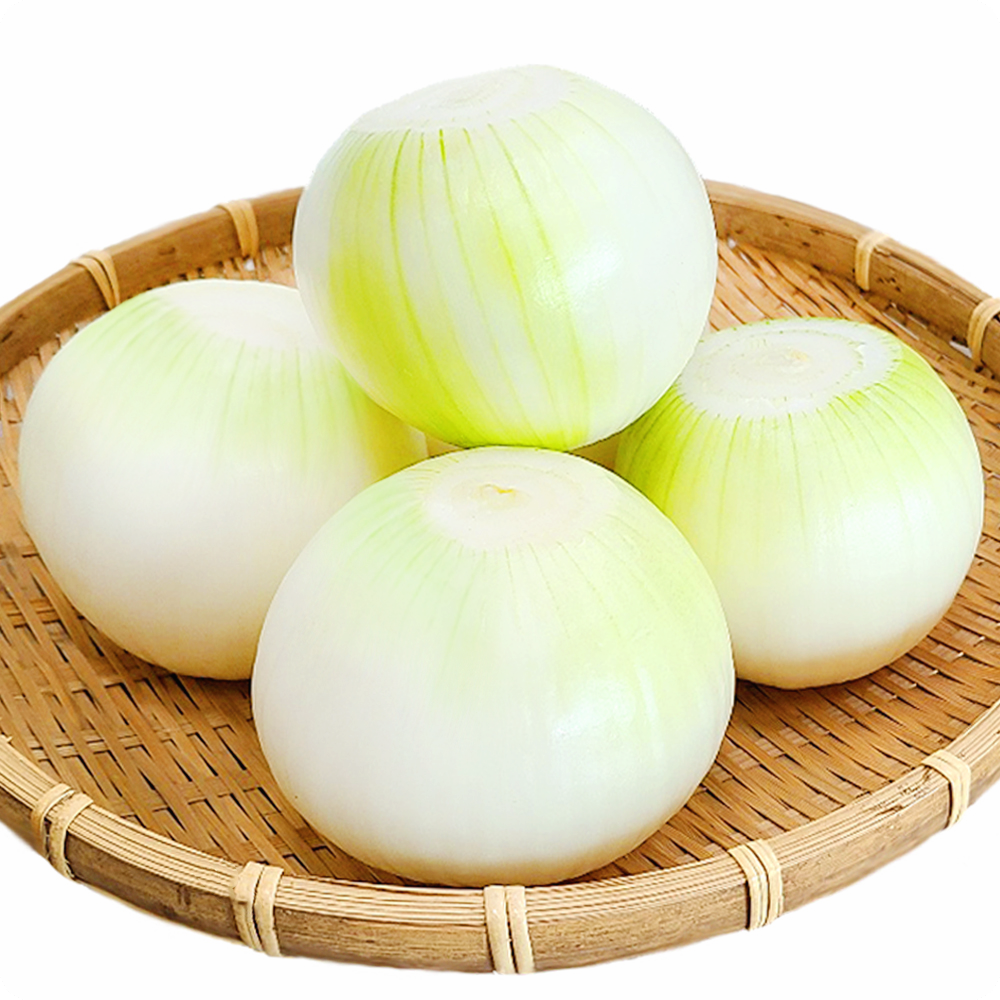 양파-효능