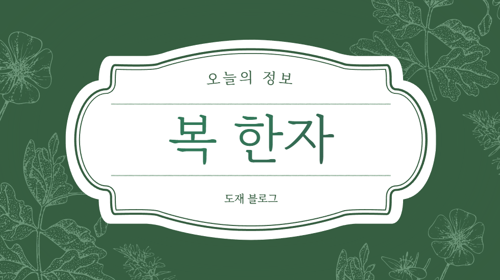 복한자 뜻과 의미, 일상에서 &lsquo;복&rsquo;을 끌어당기는 한자의 힘
