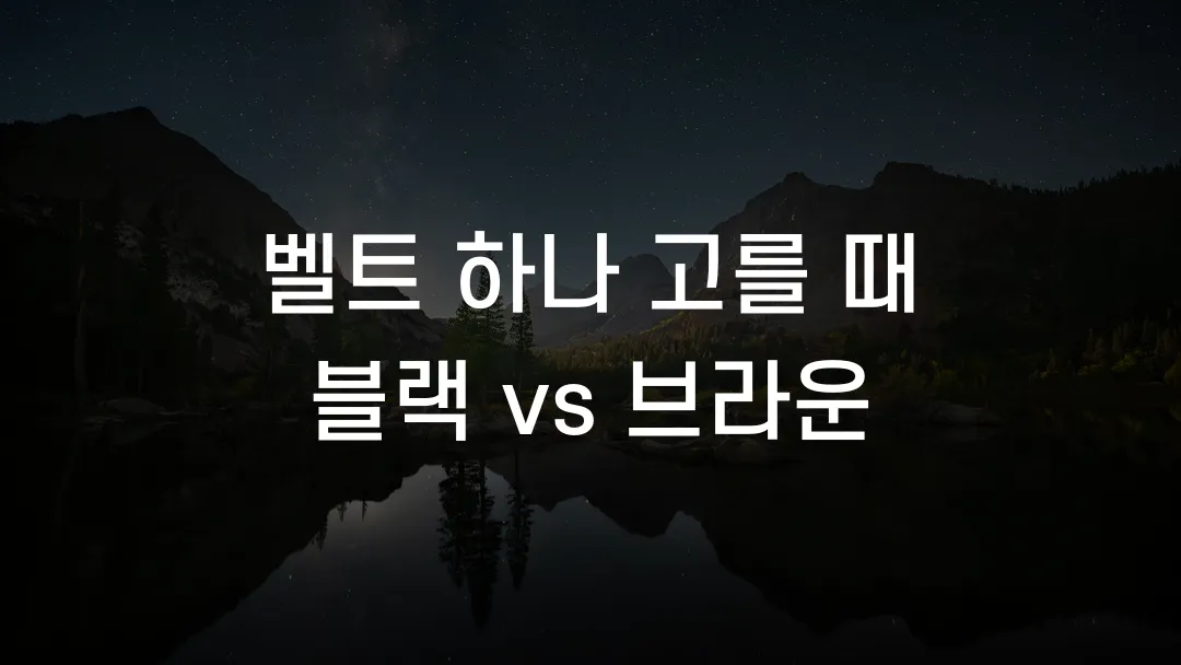 벨트 하나 고를 때 블랙 vs 브라운