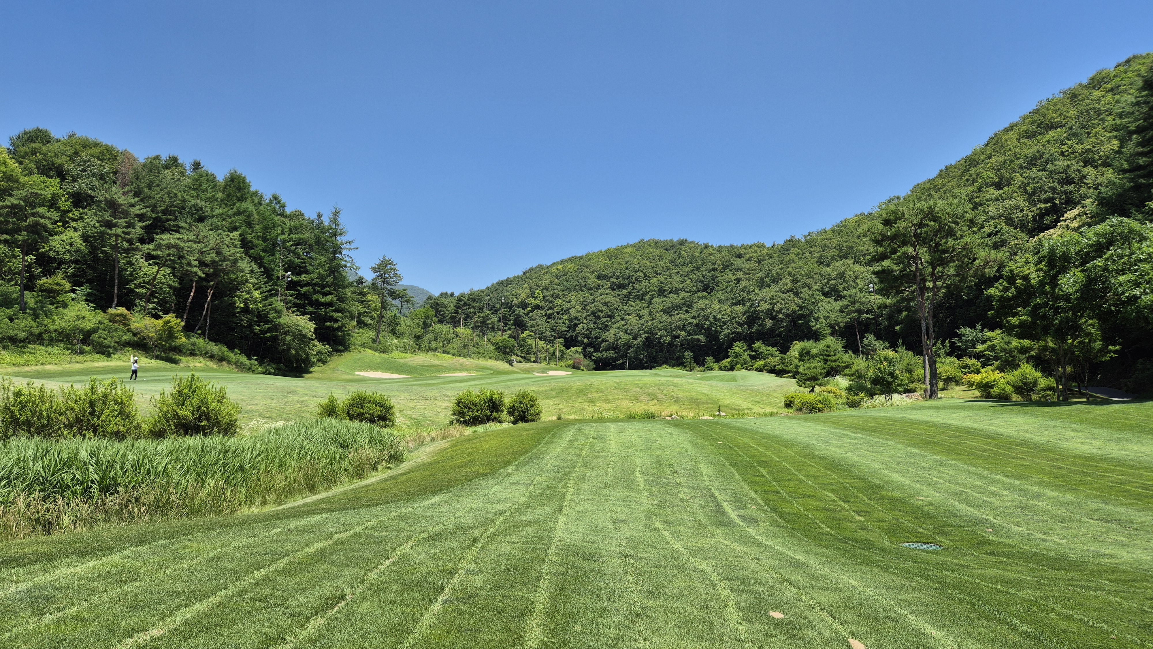 샤인데일cc 코스 정보