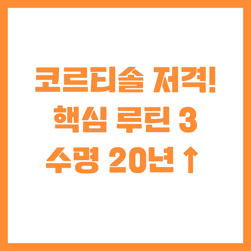 코르티솔 저감 핵심 루틴 건강 수명 ..