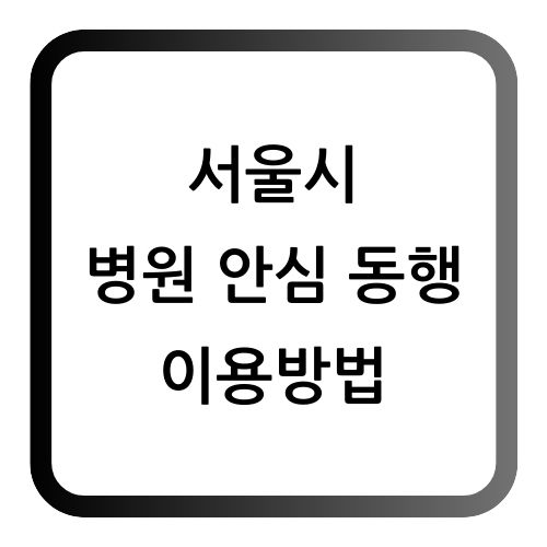 서울시 병원 안심동행 서비스