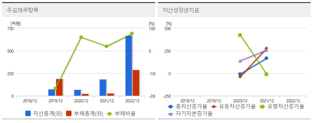 맥스트 재무분석표