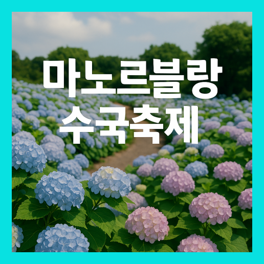 제주 마노르블랑 수국축제