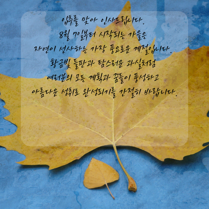 8월7일 입추 인사말 문구 이미지 모음