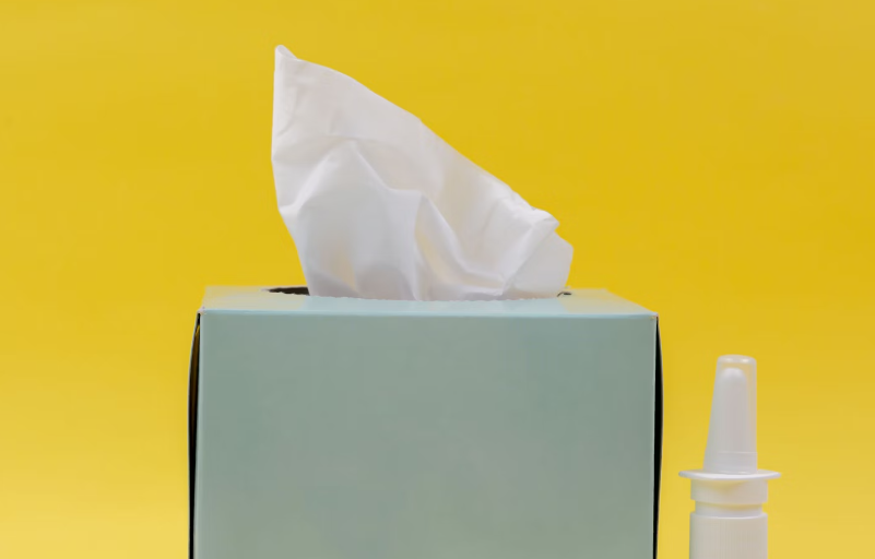 차가버섯 효능 : 알레르기