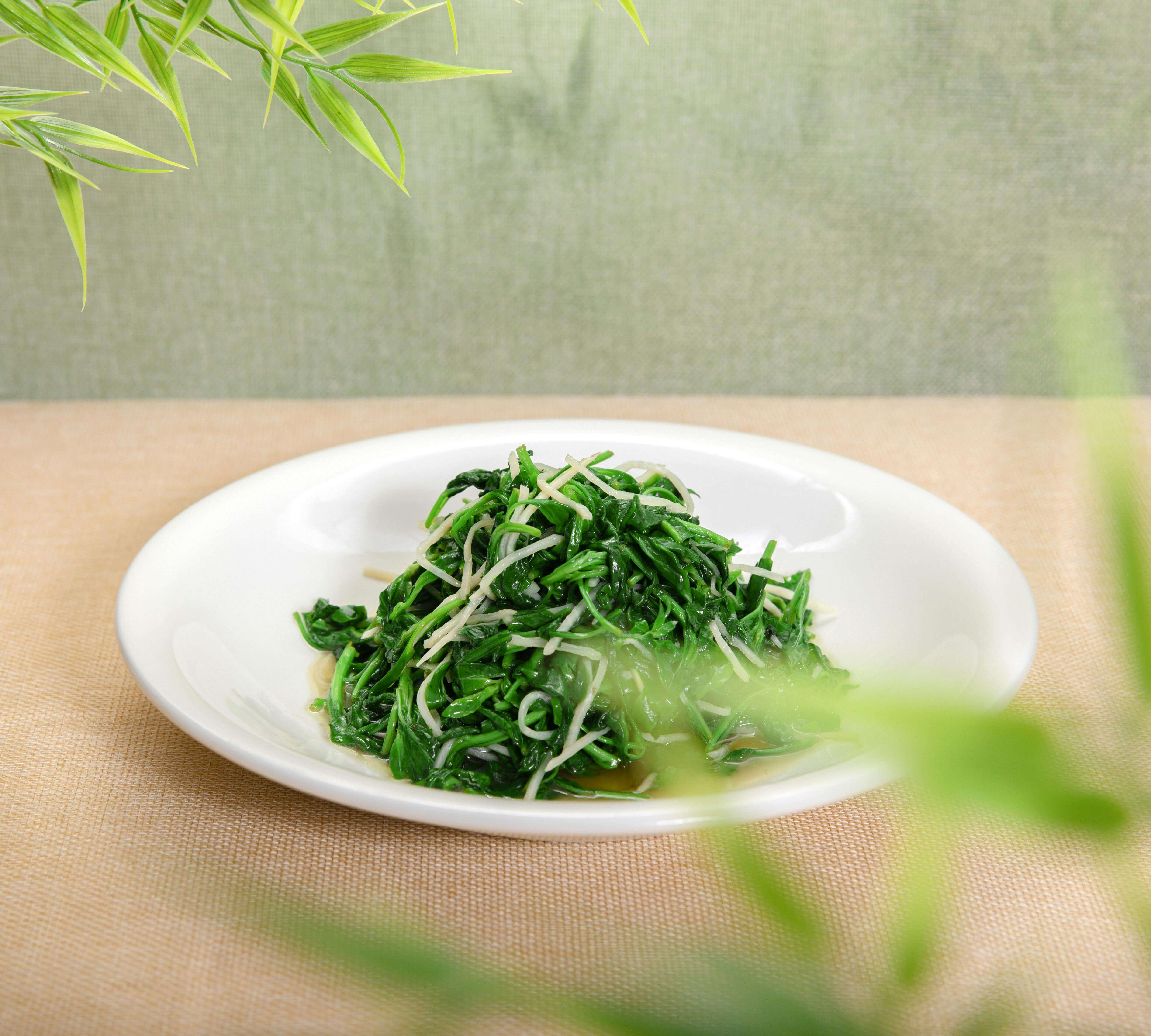 봄나물 효능과 종류 완벽 정리, 꼭 먹어야 하는 이유