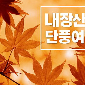 내장산 단풍여행
