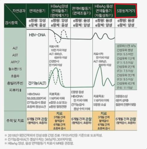 B형 간염 5단계 알아야 간암 안 걸려요!
