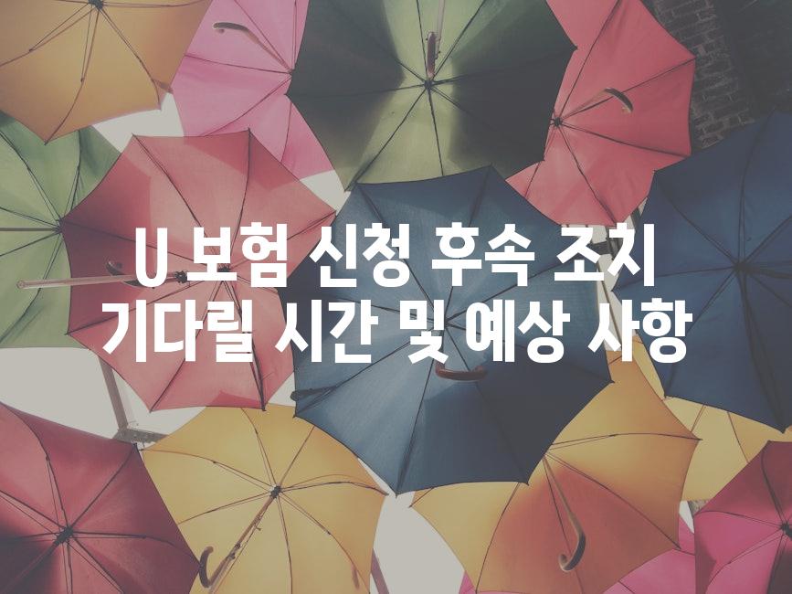 U 보험 신청 후속 조치 기다릴 시간 및 예상 사항