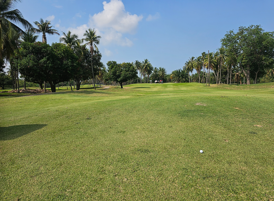 마운틴 쉐도우 CC