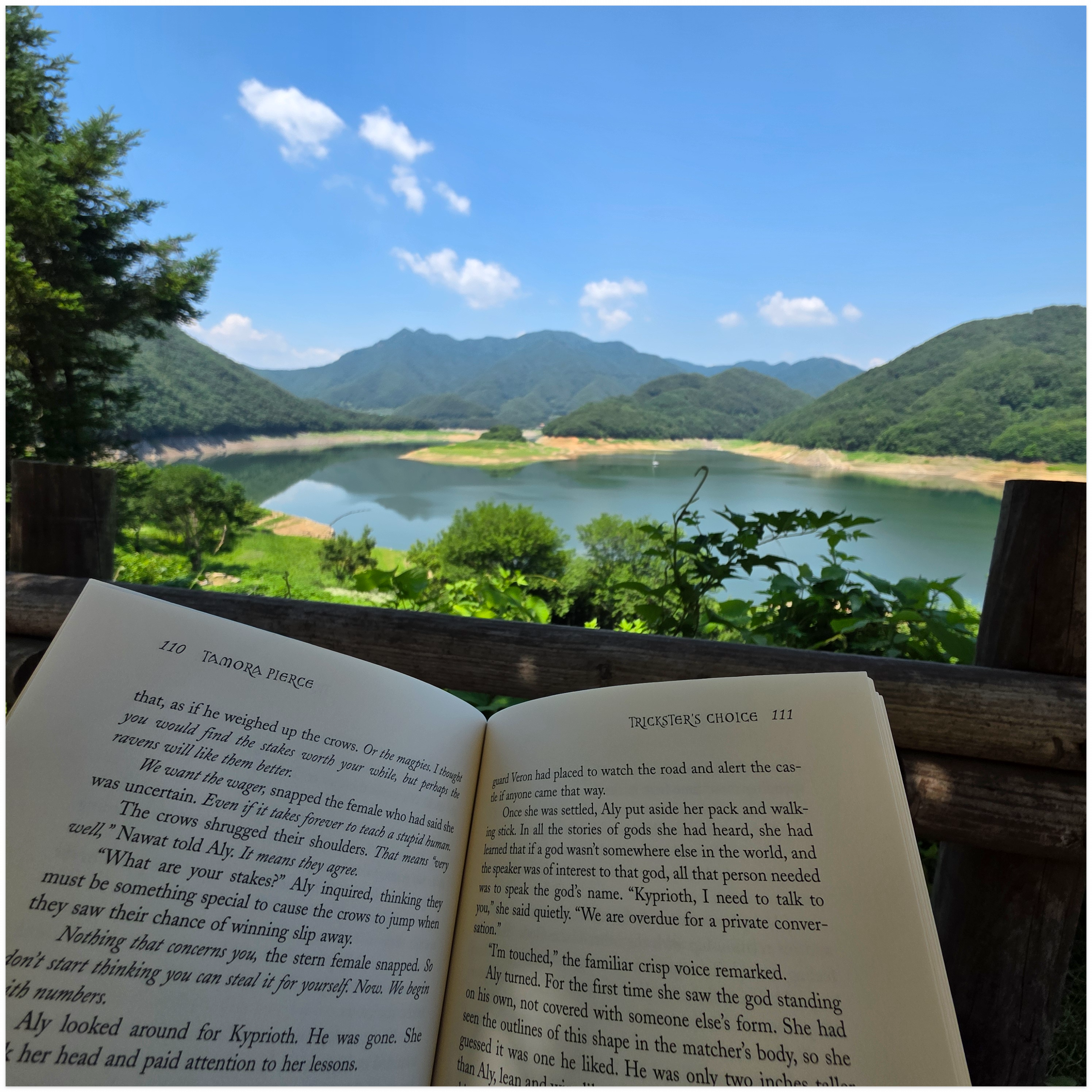  평화롭네요