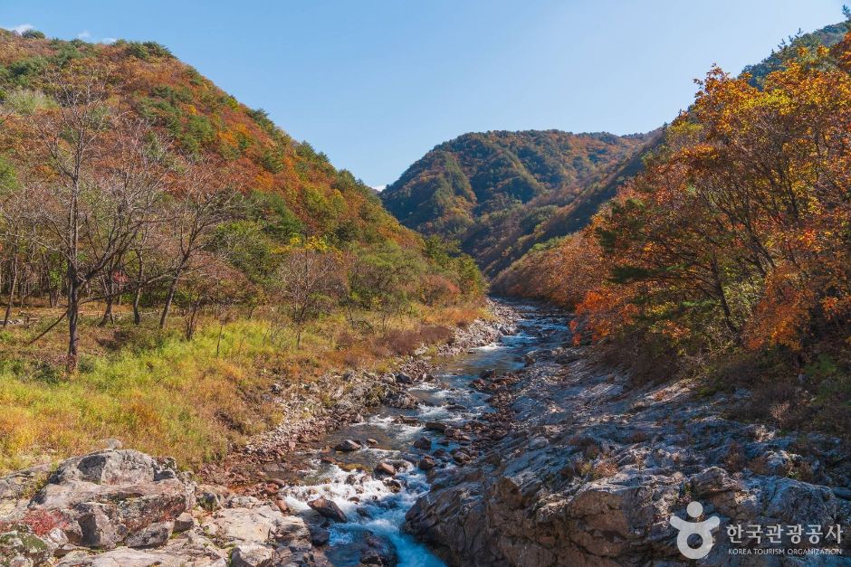 양구 두타연 피의능선
