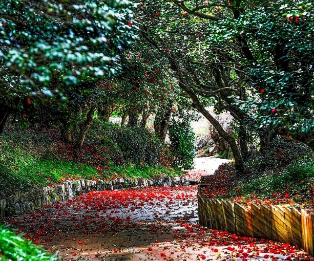 광양 가볼만한곳 베스트 10