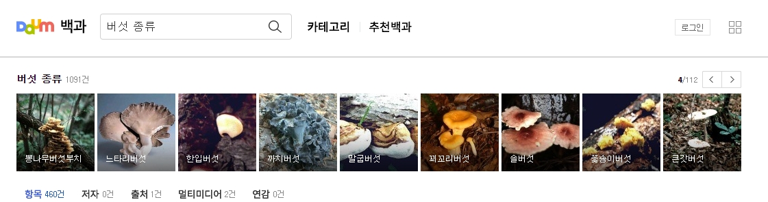 친숙한 식용 버섯인 느타리버섯