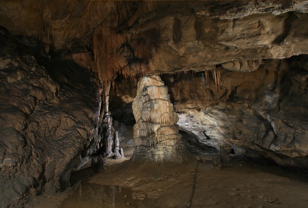 평창 백룡동굴 예약 방법