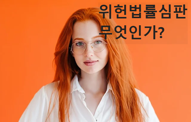 법알아보기 위헌법률심판
