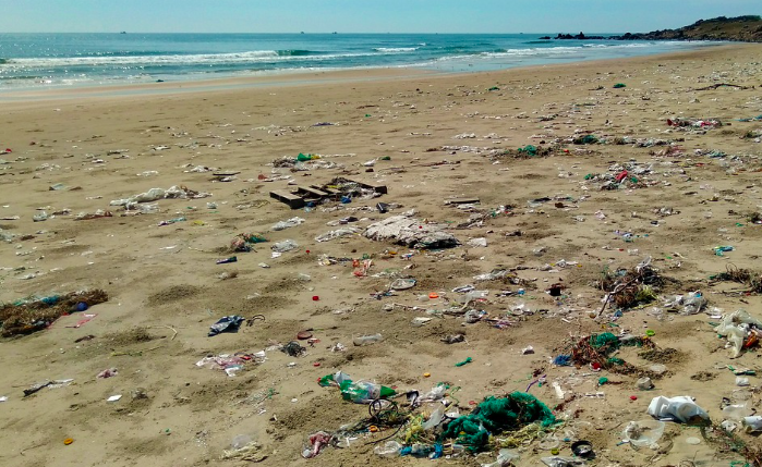 바다 쓰레기로 조각 만들기(해양 아트): 쓰레기를 예술로