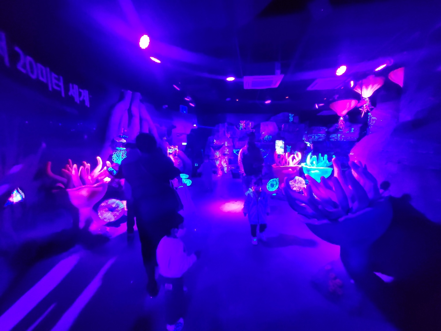 부산 아쿠아리움