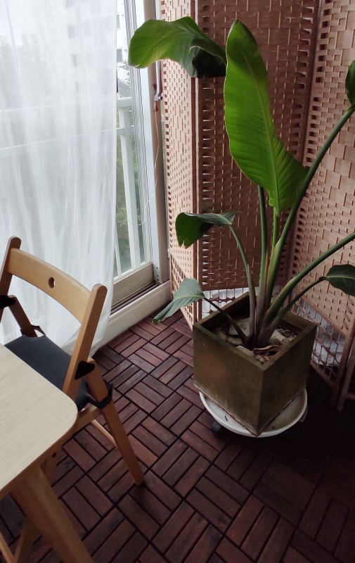 창고쪽 칸막이 앞으로의 데크모습