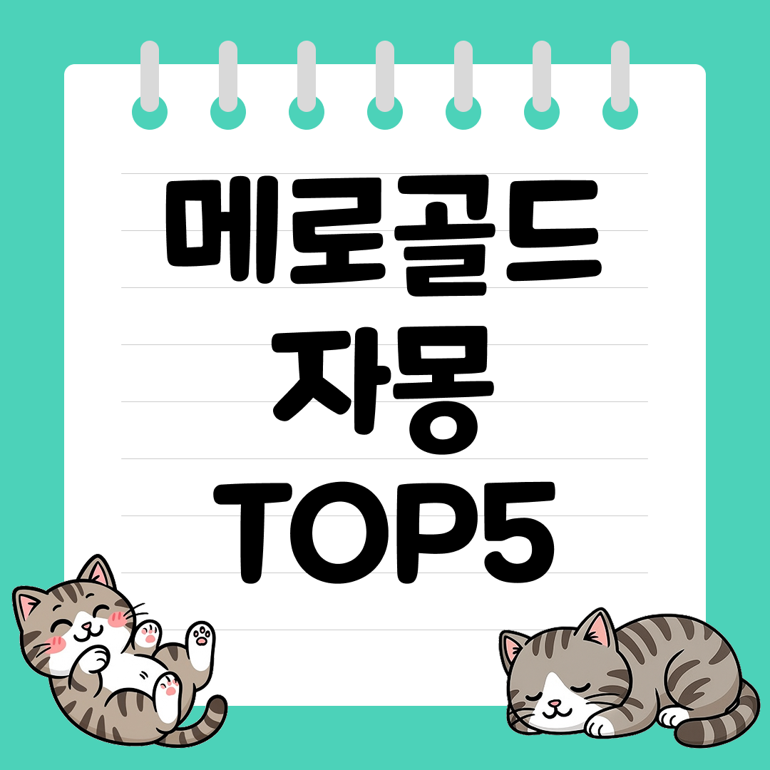 달콤하고 산뜻한 풍미의 메로골드 자몽 추천 순위 TOP5