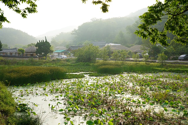 2025 한국사능력시험 일정 완벽 가이드!(접수부터 유의사항까지)