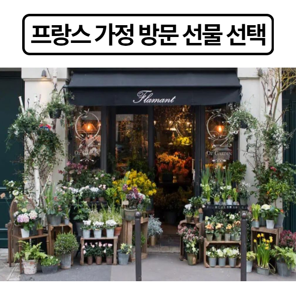 프랑스 가정 방문 선물 선택