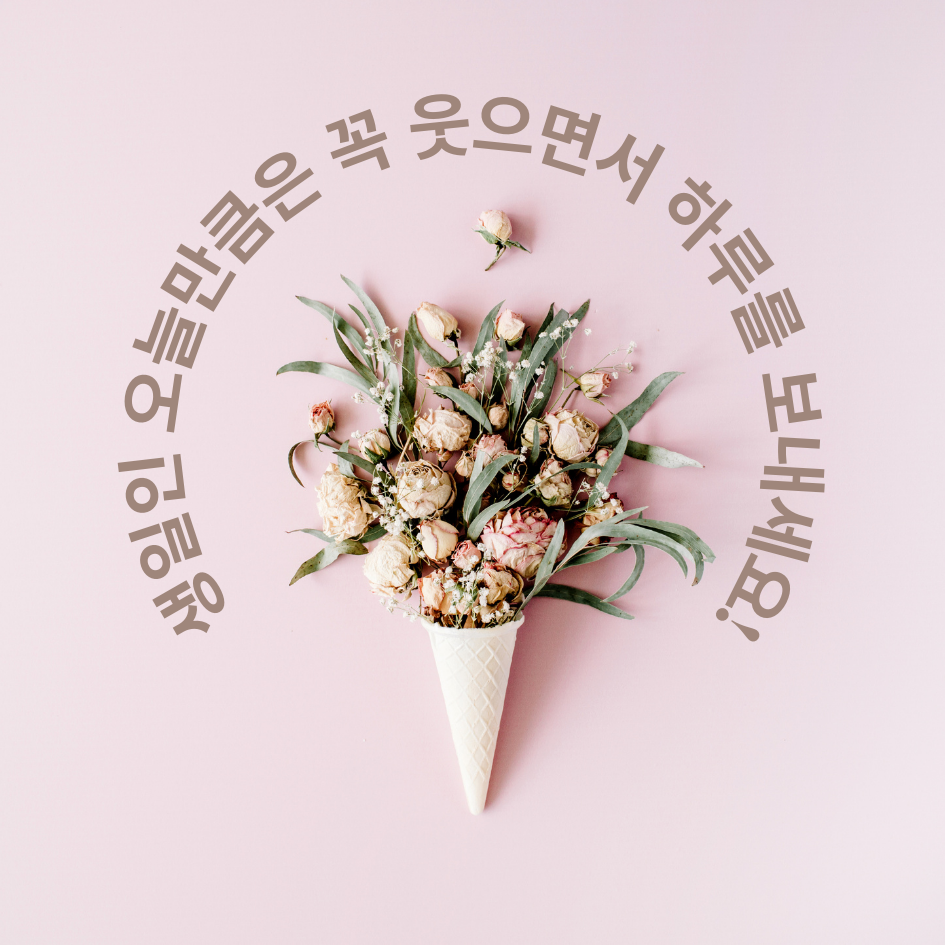 생일 축하 메세지 문구 이미지 모음글로 이동